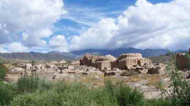 新疆--绿洲神木园,图二