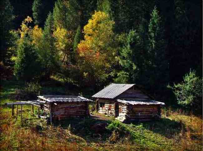 新疆大莫乎尔转场,图二