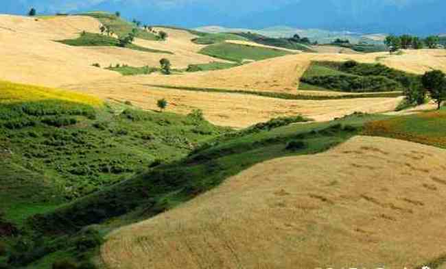 新疆江不拉克風光,圖三