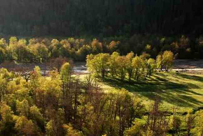 新疆库尔德宁风光,图十一