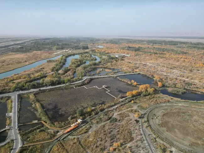 泽普金胡杨公园,图二