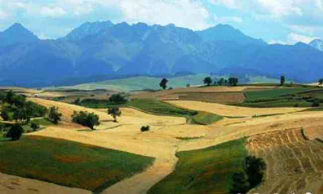 新疆江不拉克風光,圖十