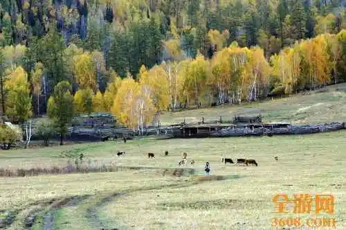 世外桃源白哈巴