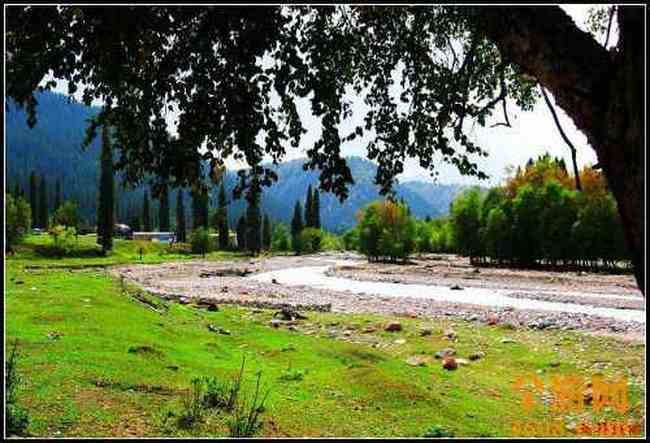 新疆库尔德宁,图十一