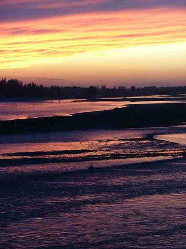 新疆大莫乎尔转场,图一