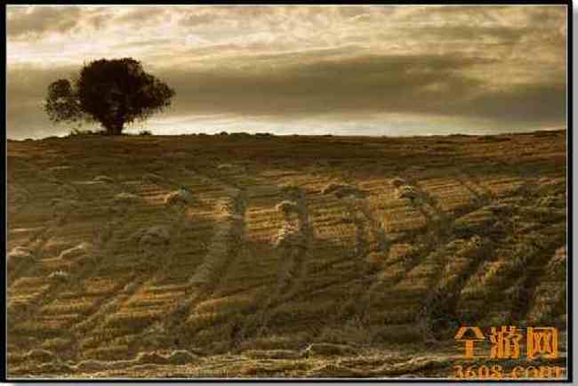 江布拉克 摄影的天堂,图十四