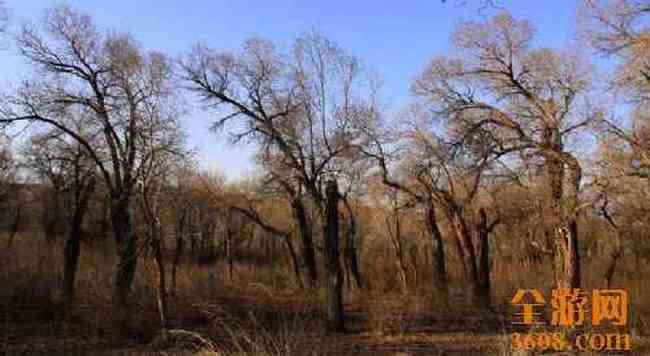 新疆自驾之旅（五）,图二十三