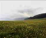 新疆賽里木風(fēng)光