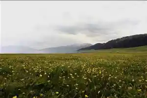 新疆赛里木风光
