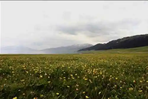 新疆赛里木风光