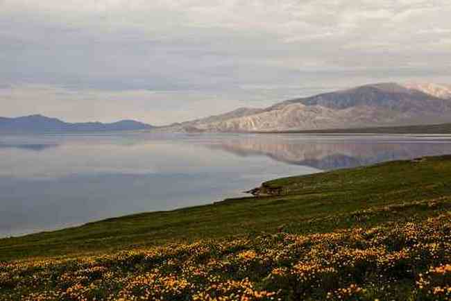 伊犁美景,图十四