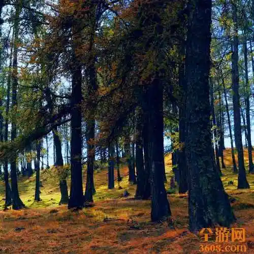 北疆风光—阿勒泰