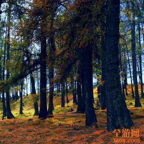 北疆风光—阿勒泰,图五