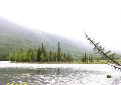 新疆喀纳斯风光