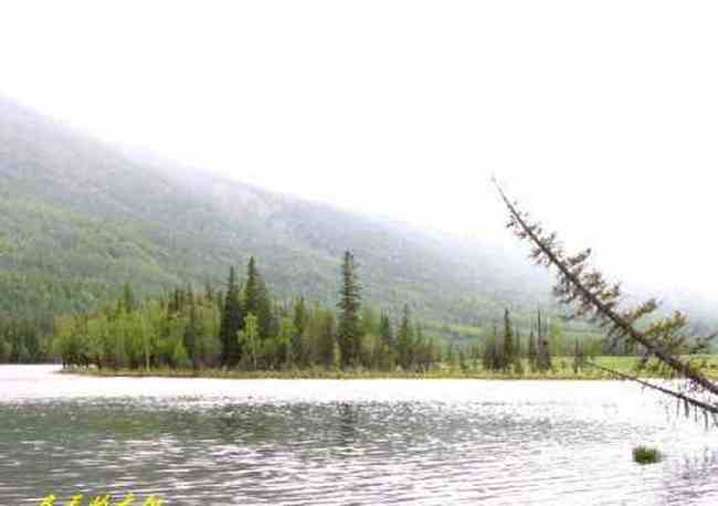 新疆喀纳斯风光,图九