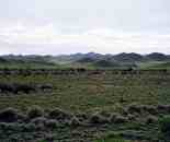 新疆伊犁托里風(fēng)光