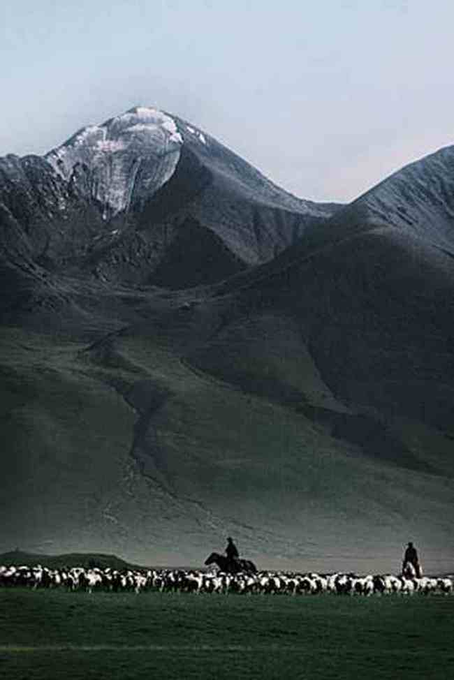 新疆巴音布鲁克草原,图六