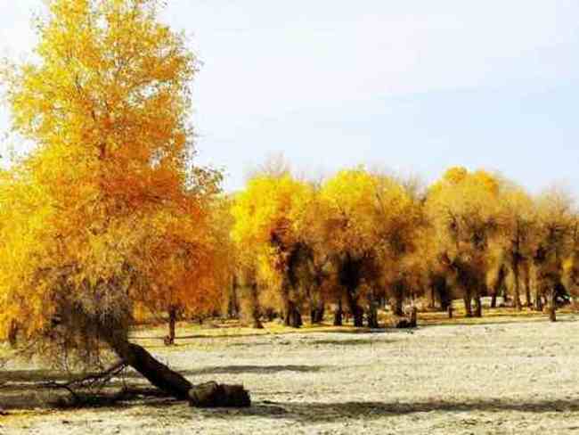 新疆风光２,图二