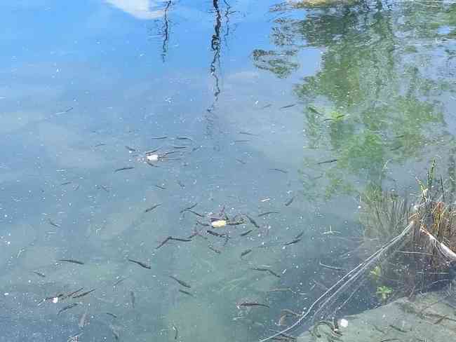 你的阿勒泰,图六