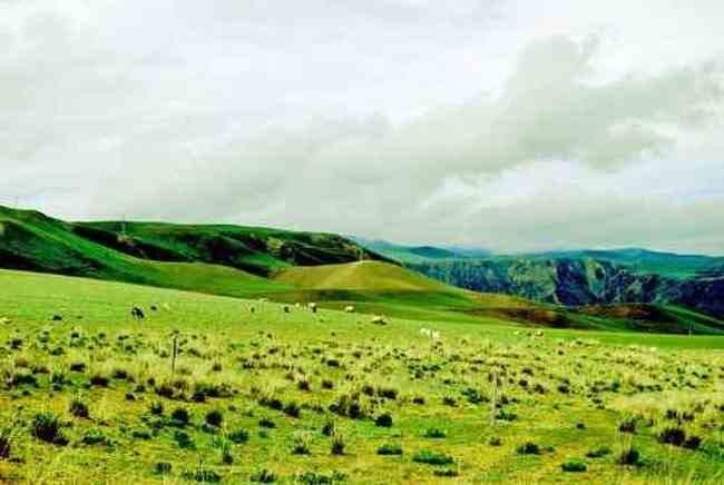 新疆库尔德宁风光,图五