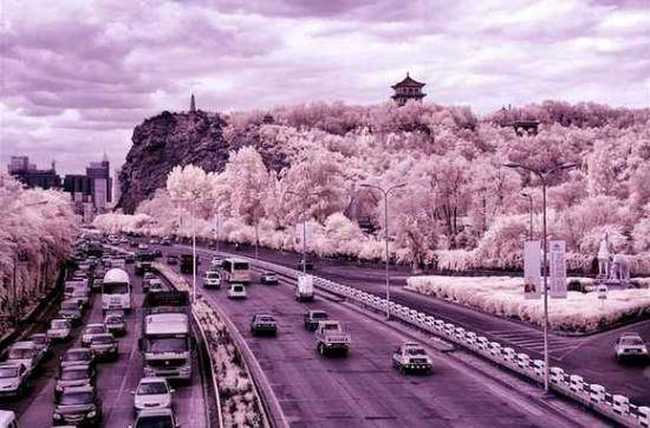 美丽的乌鲁木齐,图七