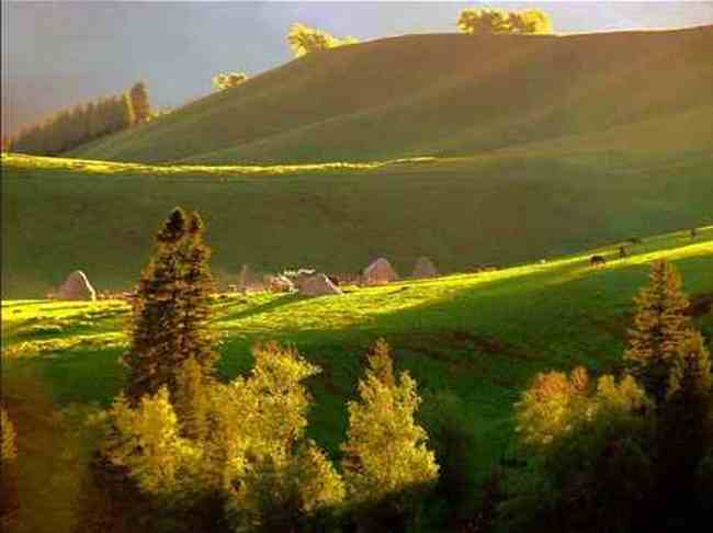 新疆依犁风光,图十一