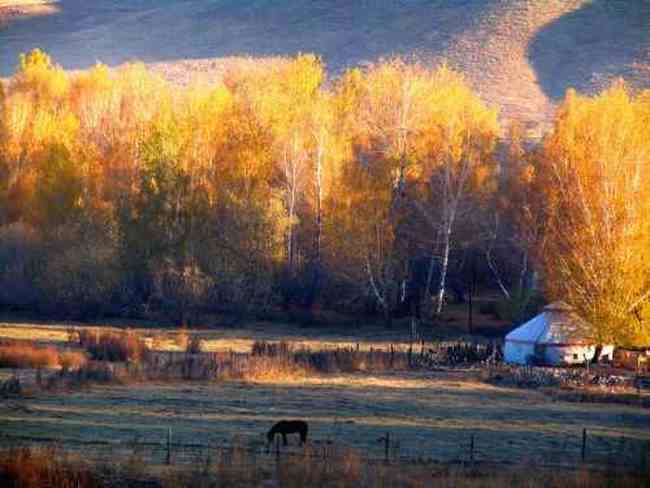 新疆 - 白哈巴风光,图四