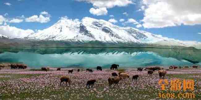 帕米尔高原风光,图七