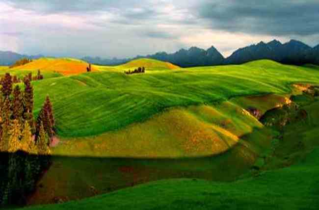 昌吉风光,图十六