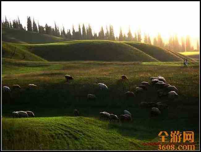 新疆北疆风光,图五
