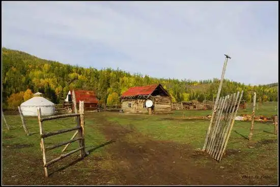 喀纳斯风光组图