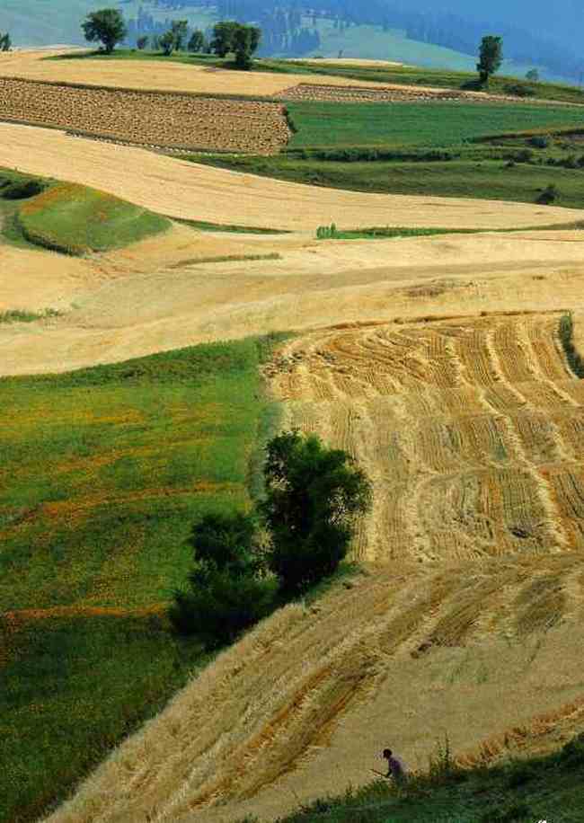 新疆江不拉克風光,圖七