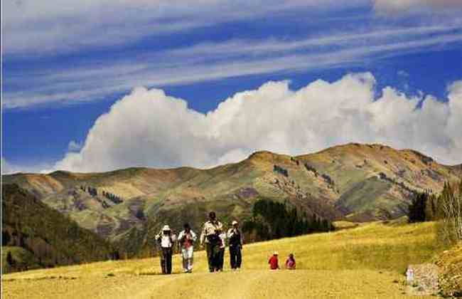 新疆夏爾希里自然保護區(qū),圖六