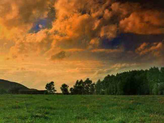 新疆草原（上）,图十