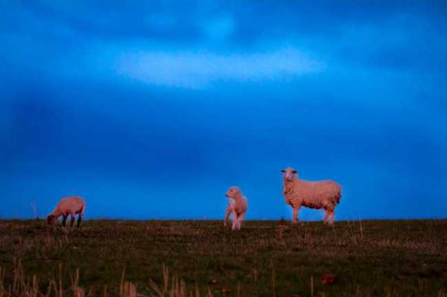 大美新疆景点美图
