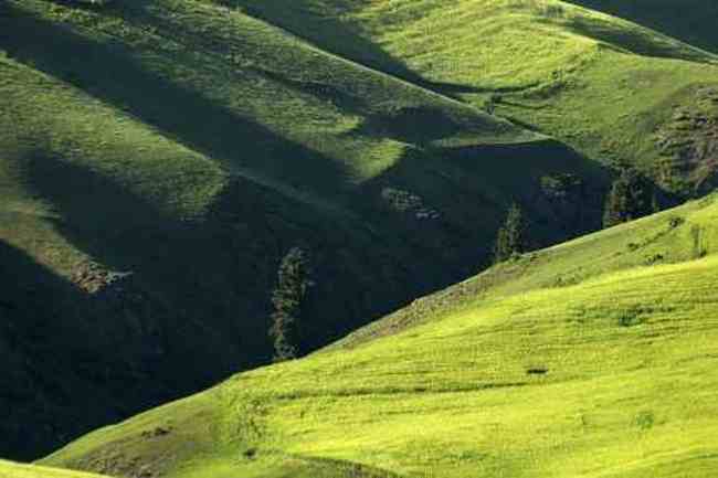 新疆江布拉克,图三