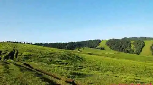 新疆索尔巴斯陶风光