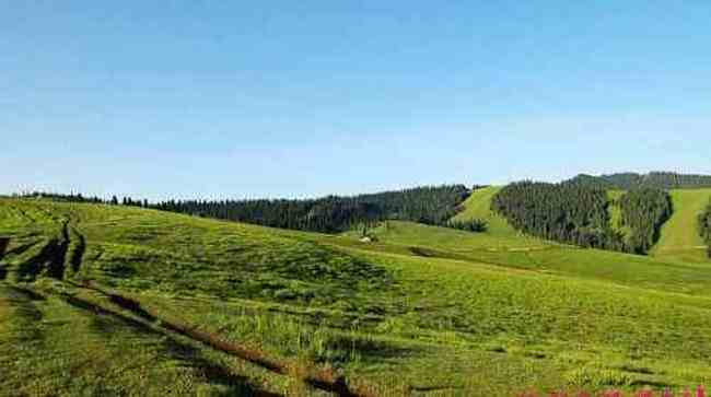 新疆索尔巴斯陶风光,图四