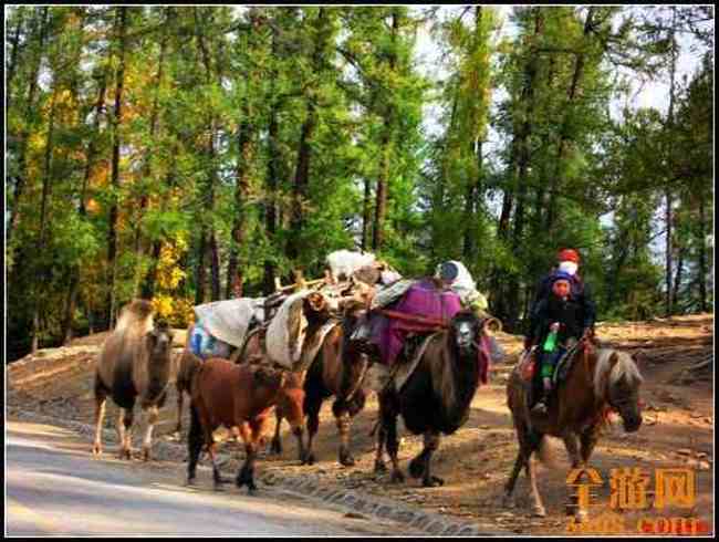 新疆北疆风光,图二十五