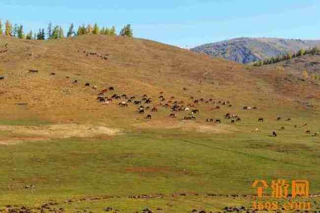 喀拉斯秋天,圖九