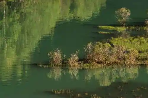 新疆喀纳斯风光