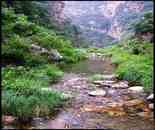 九龍?zhí)蹲匀伙L(fēng)景