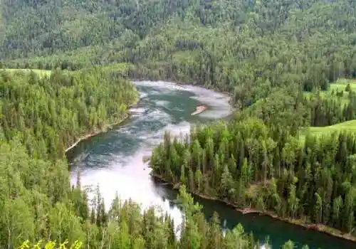 新疆喀纳斯风光