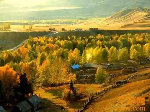 世外桃源白哈巴