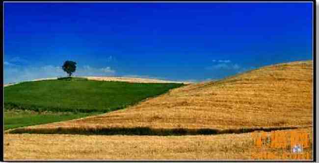 江布拉克摄影的天堂,图四