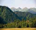 新疆庫爾德寧風光