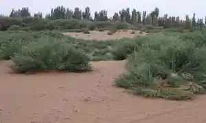 库木塔格沙漠