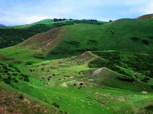 新疆乌鲁木齐甘沟乡风光,图十二