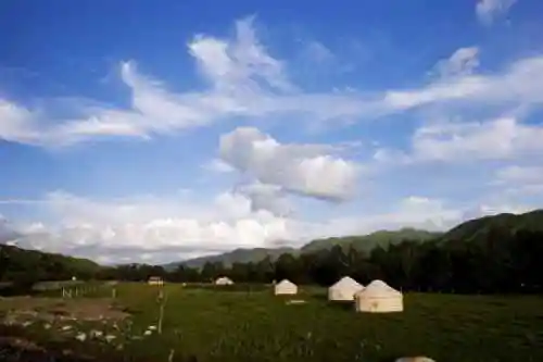 新疆唐布拉草原