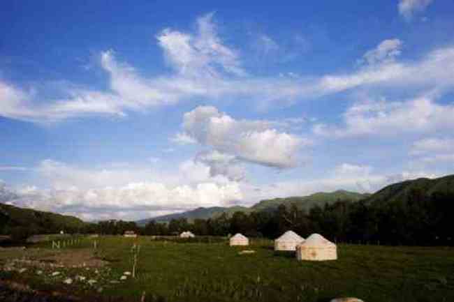 新疆唐布拉草原,图三